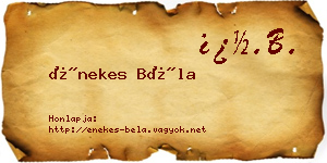 Énekes Béla névjegykártya